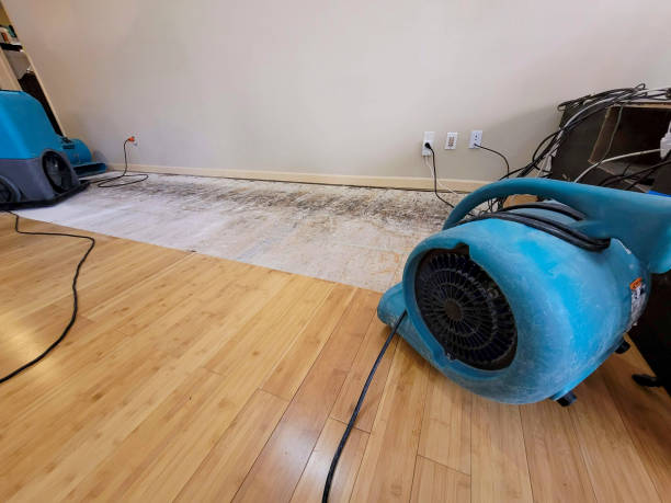Professional Basement Flood Cleanup technician working in Bonsall, CA